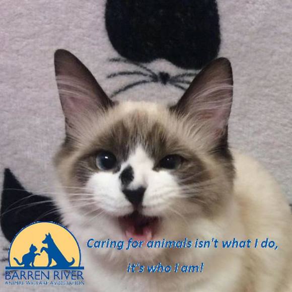 Meet your Posher, Tia - Picture 1 of 1